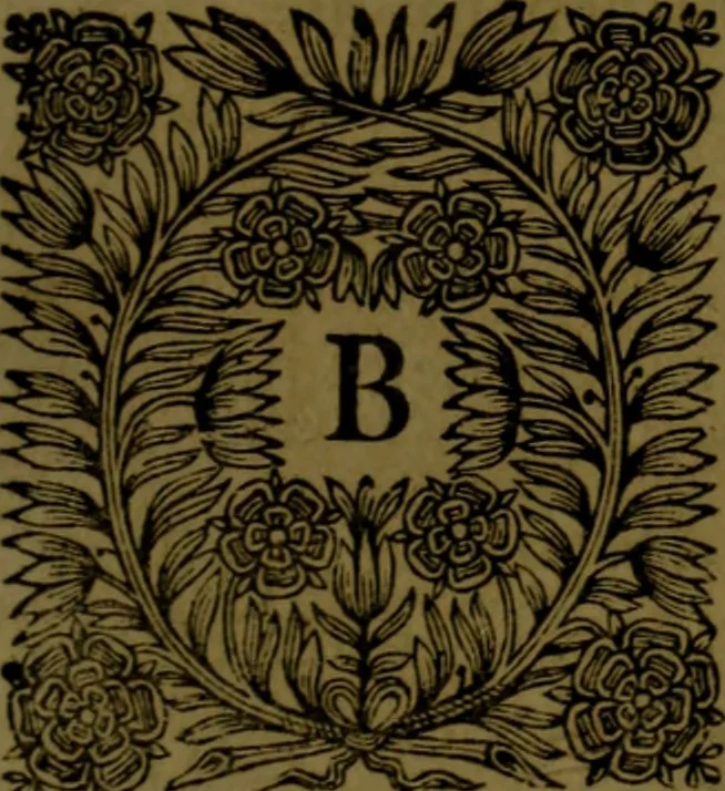 An illustration from Histoire de Barbarie, et de ses Corsaires. Des royavmes, et des villes d'Alger, de Tvnis, de Salé, [et] de Tripoly. Divisée en six livres. Ov il est traitté de levr govvernement, de leurs moeurs, de leurs cruautez, de leurs brigandages, de leurs sortileges, [et] de plusieurs autres particularitez remarquables. Ensemble des grandes miseres et des crvels tourmens qu'endurent les Chrestiens captifs parmy ces infideles, 1649, leaf 456
