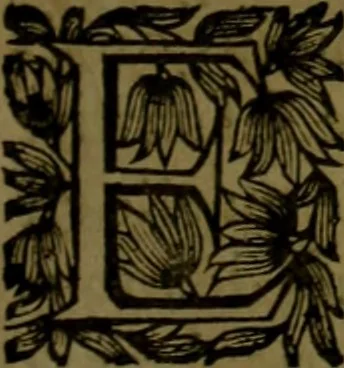An illustration from Histoire de Barbarie, et de ses Corsaires. Des royavmes, et des villes d'Alger, de Tvnis, de Salé, [et] de Tripoly. Divisée en six livres. Ov il est traitté de levr govvernement, de leurs moeurs, de leurs cruautez, de leurs brigandages, de leurs sortileges, [et] de plusieurs autres particularitez remarquables. Ensemble des grandes miseres et des crvels tourmens qu'endurent les Chrestiens captifs parmy ces infideles, 1649, leaf 46
