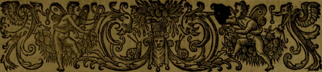 An illustration from Histoire de Barbarie, et de ses Corsaires. Des royavmes, et des villes d'Alger, de Tvnis, de Salé, [et] de Tripoly. Divisée en six livres. Ov il est traitté de levr govvernement, de leurs moeurs, de leurs cruautez, de leurs brigandages, de leurs sortileges, [et] de plusieurs autres particularitez remarquables. Ensemble des grandes miseres et des crvels tourmens qu'endurent les Chrestiens captifs parmy ces infideles, 1649, leaf 464