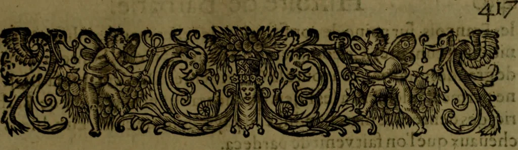 An illustration from Histoire de Barbarie, et de ses Corsaires. Des royavmes, et des villes d'Alger, de Tvnis, de Salé, [et] de Tripoly. Divisée en six livres. Ov il est traitté de levr govvernement, de leurs moeurs, de leurs cruautez, de leurs brigandages, de leurs sortileges, [et] de plusieurs autres particularitez remarquables. Ensemble des grandes miseres et des crvels tourmens qu'endurent les Chrestiens captifs parmy ces infideles, 1649, leaf 476