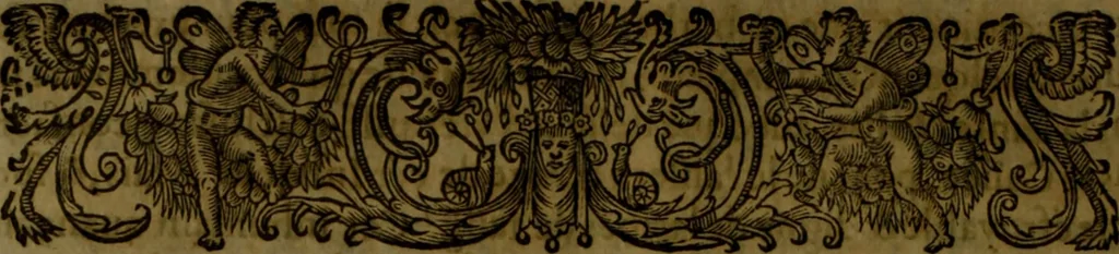 An illustration from Histoire de Barbarie, et de ses Corsaires. Des royavmes, et des villes d'Alger, de Tvnis, de Salé, [et] de Tripoly. Divisée en six livres. Ov il est traitté de levr govvernement, de leurs moeurs, de leurs cruautez, de leurs brigandages, de leurs sortileges, [et] de plusieurs autres particularitez remarquables. Ensemble des grandes miseres et des crvels tourmens qu'endurent les Chrestiens captifs parmy ces infideles, 1649, leaf 481