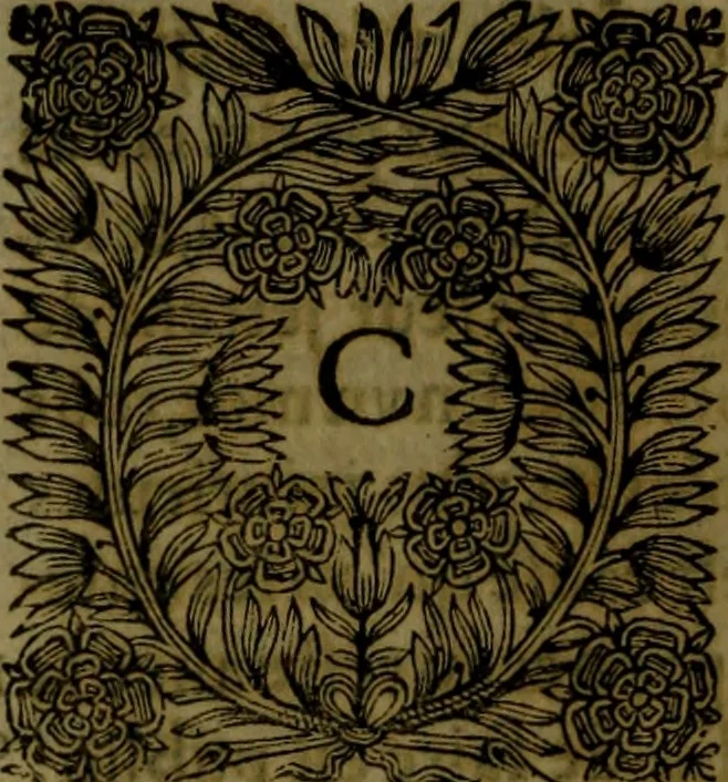 An illustration from Histoire de Barbarie, et de ses Corsaires. Des royavmes, et des villes d'Alger, de Tvnis, de Salé, [et] de Tripoly. Divisée en six livres. Ov il est traitté de levr govvernement, de leurs moeurs, de leurs cruautez, de leurs brigandages, de leurs sortileges, [et] de plusieurs autres particularitez remarquables. Ensemble des grandes miseres et des crvels tourmens qu'endurent les Chrestiens captifs parmy ces infideles, 1649, leaf 483
