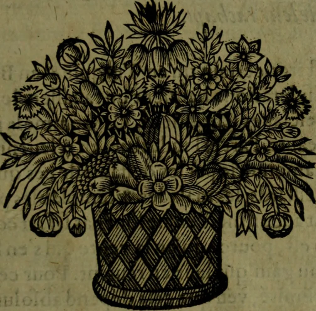 An illustration from Histoire de Barbarie, et de ses Corsaires. Des royavmes, et des villes d'Alger, de Tvnis, de Salé, [et] de Tripoly. Divisée en six livres. Ov il est traitté de levr govvernement, de leurs moeurs, de leurs cruautez, de leurs brigandages, de leurs sortileges, [et] de plusieurs autres particularitez remarquables. Ensemble des grandes miseres et des crvels tourmens qu'endurent les Chrestiens captifs parmy ces infideles, 1649, leaf 484