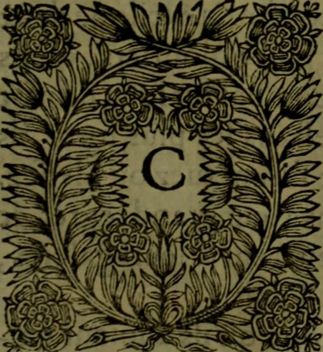 An illustration from Histoire de Barbarie, et de ses Corsaires. Des royavmes, et des villes d'Alger, de Tvnis, de Salé, [et] de Tripoly. Divisée en six livres. Ov il est traitté de levr govvernement, de leurs moeurs, de leurs cruautez, de leurs brigandages, de leurs sortileges, [et] de plusieurs autres particularitez remarquables. Ensemble des grandes miseres et des crvels tourmens qu'endurent les Chrestiens captifs parmy ces infideles, 1649, leaf 488