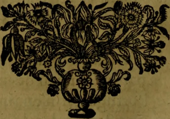 An illustration from Histoire de Barbarie, et de ses Corsaires. Des royavmes, et des villes d'Alger, de Tvnis, de Salé, [et] de Tripoly. Divisée en six livres. Ov il est traitté de levr govvernement, de leurs moeurs, de leurs cruautez, de leurs brigandages, de leurs sortileges, [et] de plusieurs autres particularitez remarquables. Ensemble des grandes miseres et des crvels tourmens qu'endurent les Chrestiens captifs parmy ces infideles, 1649, leaf 497