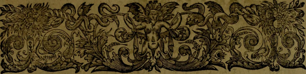 An illustration from Histoire de Barbarie, et de ses Corsaires. Des royavmes, et des villes d'Alger, de Tvnis, de Salé, [et] de Tripoly. Divisée en six livres. Ov il est traitté de levr govvernement, de leurs moeurs, de leurs cruautez, de leurs brigandages, de leurs sortileges, [et] de plusieurs autres particularitez remarquables. Ensemble des grandes miseres et des crvels tourmens qu'endurent les Chrestiens captifs parmy ces infideles, 1649, leaf 498