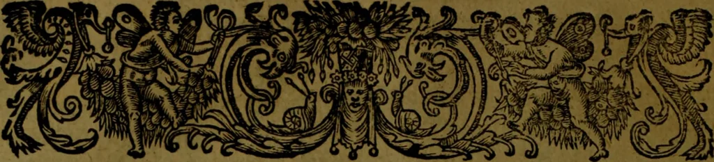 An illustration from Histoire de Barbarie, et de ses Corsaires. Des royavmes, et des villes d'Alger, de Tvnis, de Salé, [et] de Tripoly. Divisée en six livres. Ov il est traitté de levr govvernement, de leurs moeurs, de leurs cruautez, de leurs brigandages, de leurs sortileges, [et] de plusieurs autres particularitez remarquables. Ensemble des grandes miseres et des crvels tourmens qu'endurent les Chrestiens captifs parmy ces infideles, 1649, leaf 499