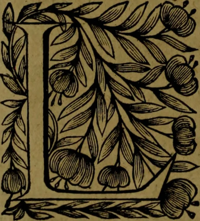 An illustration from Histoire de Barbarie, et de ses Corsaires. Des royavmes, et des villes d'Alger, de Tvnis, de Salé, [et] de Tripoly. Divisée en six livres. Ov il est traitté de levr govvernement, de leurs moeurs, de leurs cruautez, de leurs brigandages, de leurs sortileges, [et] de plusieurs autres particularitez remarquables. Ensemble des grandes miseres et des crvels tourmens qu'endurent les Chrestiens captifs parmy ces infideles, 1649, leaf 499