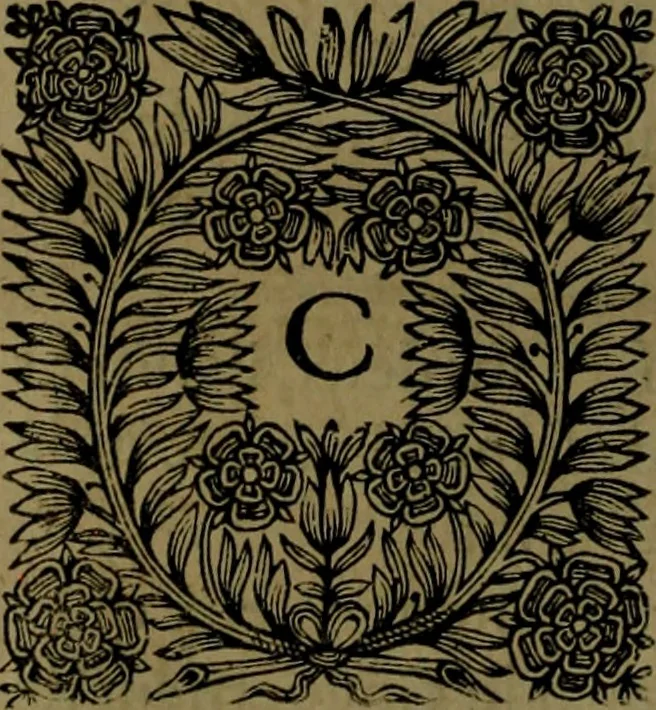 An illustration from Histoire de Barbarie, et de ses Corsaires. Des royavmes, et des villes d'Alger, de Tvnis, de Salé, [et] de Tripoly. Divisée en six livres. Ov il est traitté de levr govvernement, de leurs moeurs, de leurs cruautez, de leurs brigandages, de leurs sortileges, [et] de plusieurs autres particularitez remarquables. Ensemble des grandes miseres et des crvels tourmens qu'endurent les Chrestiens captifs parmy ces infideles, 1649, leaf 513