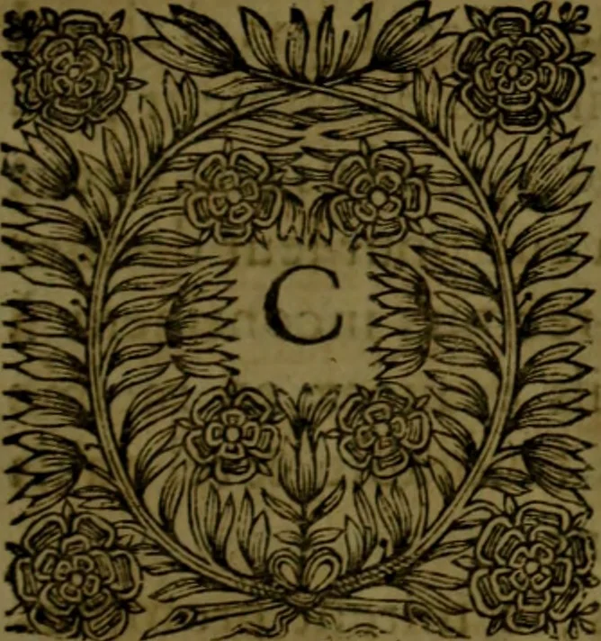 An illustration from Histoire de Barbarie, et de ses Corsaires. Des royavmes, et des villes d'Alger, de Tvnis, de Salé, [et] de Tripoly. Divisée en six livres. Ov il est traitté de levr govvernement, de leurs moeurs, de leurs cruautez, de leurs brigandages, de leurs sortileges, [et] de plusieurs autres particularitez remarquables. Ensemble des grandes miseres et des crvels tourmens qu'endurent les Chrestiens captifs parmy ces infideles, 1649, leaf 522
