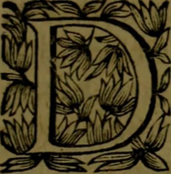An illustration from Histoire de Barbarie, et de ses Corsaires. Des royavmes, et des villes d'Alger, de Tvnis, de Salé, [et] de Tripoly. Divisée en six livres. Ov il est traitté de levr govvernement, de leurs moeurs, de leurs cruautez, de leurs brigandages, de leurs sortileges, [et] de plusieurs autres particularitez remarquables. Ensemble des grandes miseres et des crvels tourmens qu'endurent les Chrestiens captifs parmy ces infideles, 1649, leaf 530