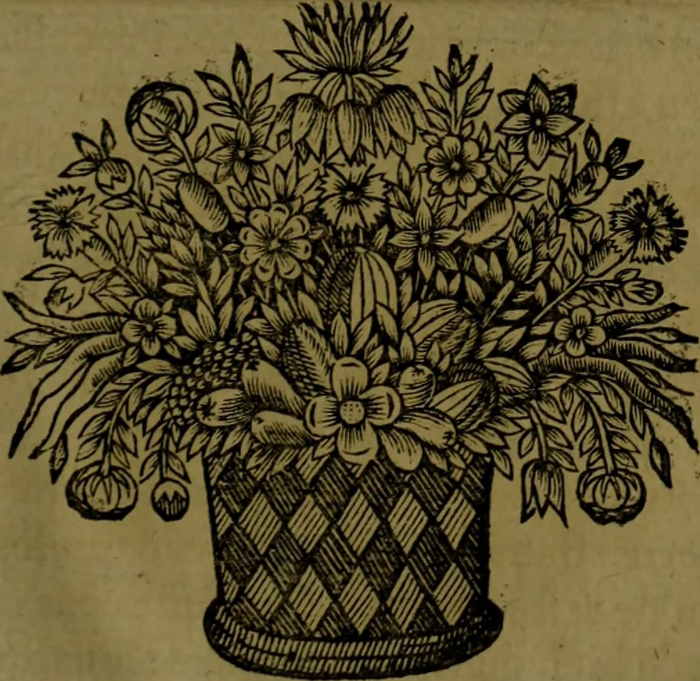 An illustration from Histoire de Barbarie, et de ses Corsaires. Des royavmes, et des villes d'Alger, de Tvnis, de Salé, [et] de Tripoly. Divisée en six livres. Ov il est traitté de levr govvernement, de leurs moeurs, de leurs cruautez, de leurs brigandages, de leurs sortileges, [et] de plusieurs autres particularitez remarquables. Ensemble des grandes miseres et des crvels tourmens qu'endurent les Chrestiens captifs parmy ces infideles, 1649, leaf 536
