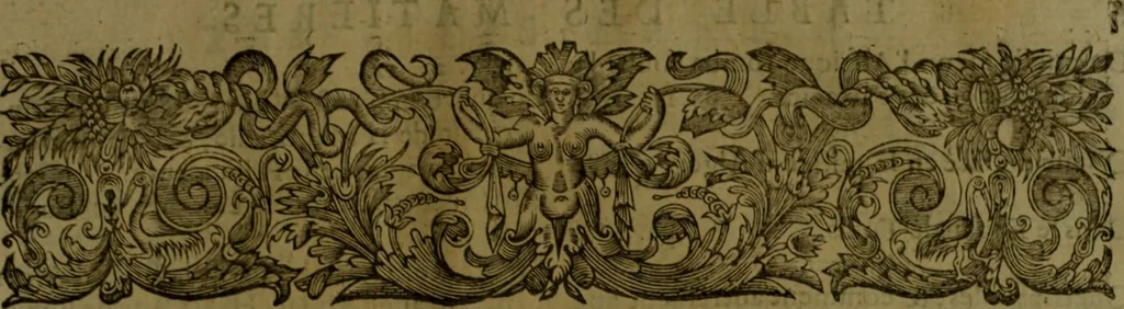 An illustration from Histoire de Barbarie, et de ses Corsaires. Des royavmes, et des villes d'Alger, de Tvnis, de Salé, [et] de Tripoly. Divisée en six livres. Ov il est traitté de levr govvernement, de leurs moeurs, de leurs cruautez, de leurs brigandages, de leurs sortileges, [et] de plusieurs autres particularitez remarquables. Ensemble des grandes miseres et des crvels tourmens qu'endurent les Chrestiens captifs parmy ces infideles, 1649, leaf 538