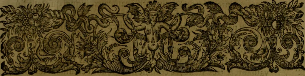 An illustration from Histoire de Barbarie, et de ses Corsaires. Des royavmes, et des villes d'Alger, de Tvnis, de Salé, [et] de Tripoly. Divisée en six livres. Ov il est traitté de levr govvernement, de leurs moeurs, de leurs cruautez, de leurs brigandages, de leurs sortileges, [et] de plusieurs autres particularitez remarquables. Ensemble des grandes miseres et des crvels tourmens qu'endurent les Chrestiens captifs parmy ces infideles, 1649, leaf 58