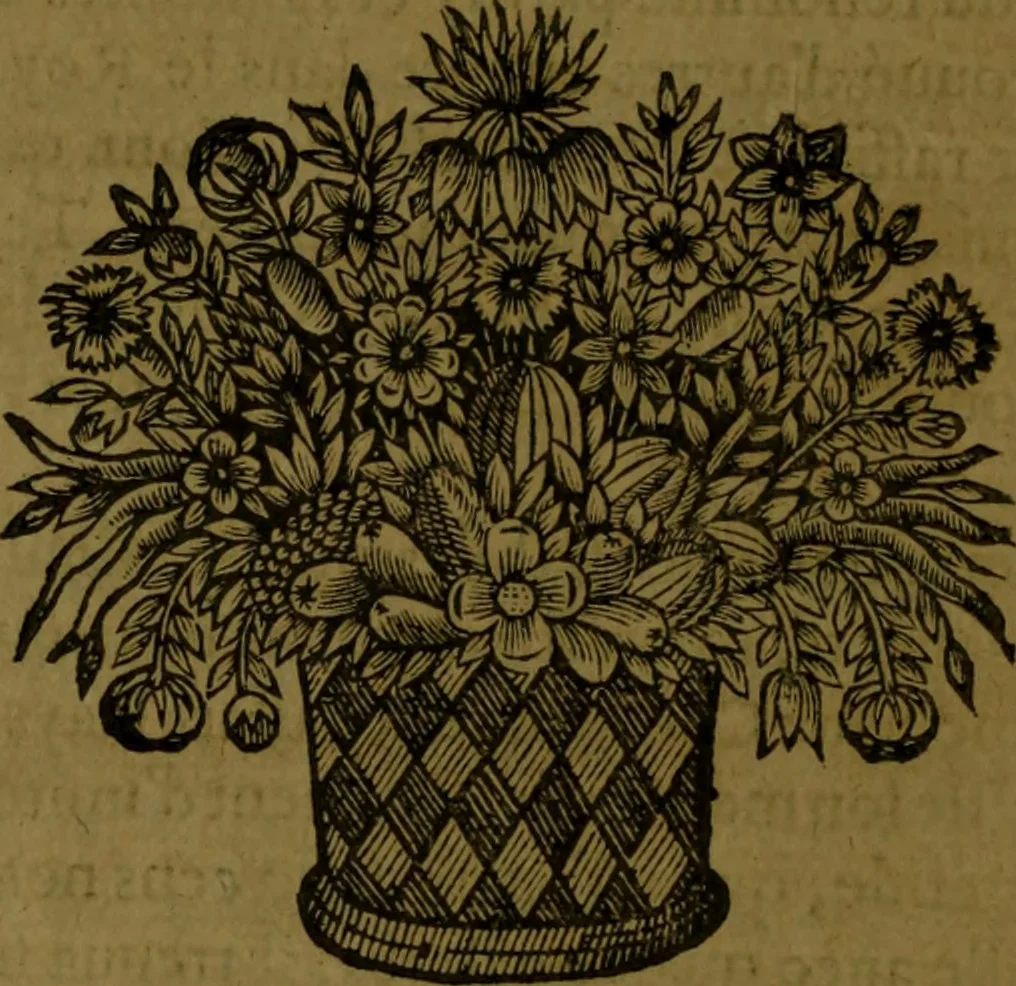 An illustration from Histoire de Barbarie, et de ses Corsaires. Des royavmes, et des villes d'Alger, de Tvnis, de Salé, [et] de Tripoly. Divisée en six livres. Ov il est traitté de levr govvernement, de leurs moeurs, de leurs cruautez, de leurs brigandages, de leurs sortileges, [et] de plusieurs autres particularitez remarquables. Ensemble des grandes miseres et des crvels tourmens qu'endurent les Chrestiens captifs parmy ces infideles, 1649, leaf 65