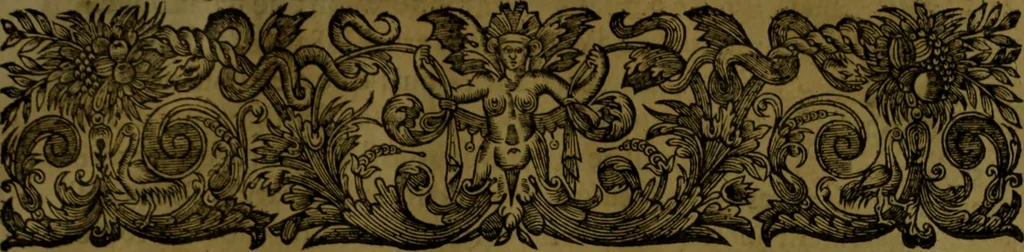 An illustration from Histoire de Barbarie, et de ses Corsaires. Des royavmes, et des villes d'Alger, de Tvnis, de Salé, [et] de Tripoly. Divisée en six livres. Ov il est traitté de levr govvernement, de leurs moeurs, de leurs cruautez, de leurs brigandages, de leurs sortileges, [et] de plusieurs autres particularitez remarquables. Ensemble des grandes miseres et des crvels tourmens qu'endurent les Chrestiens captifs parmy ces infideles, 1649, leaf 66