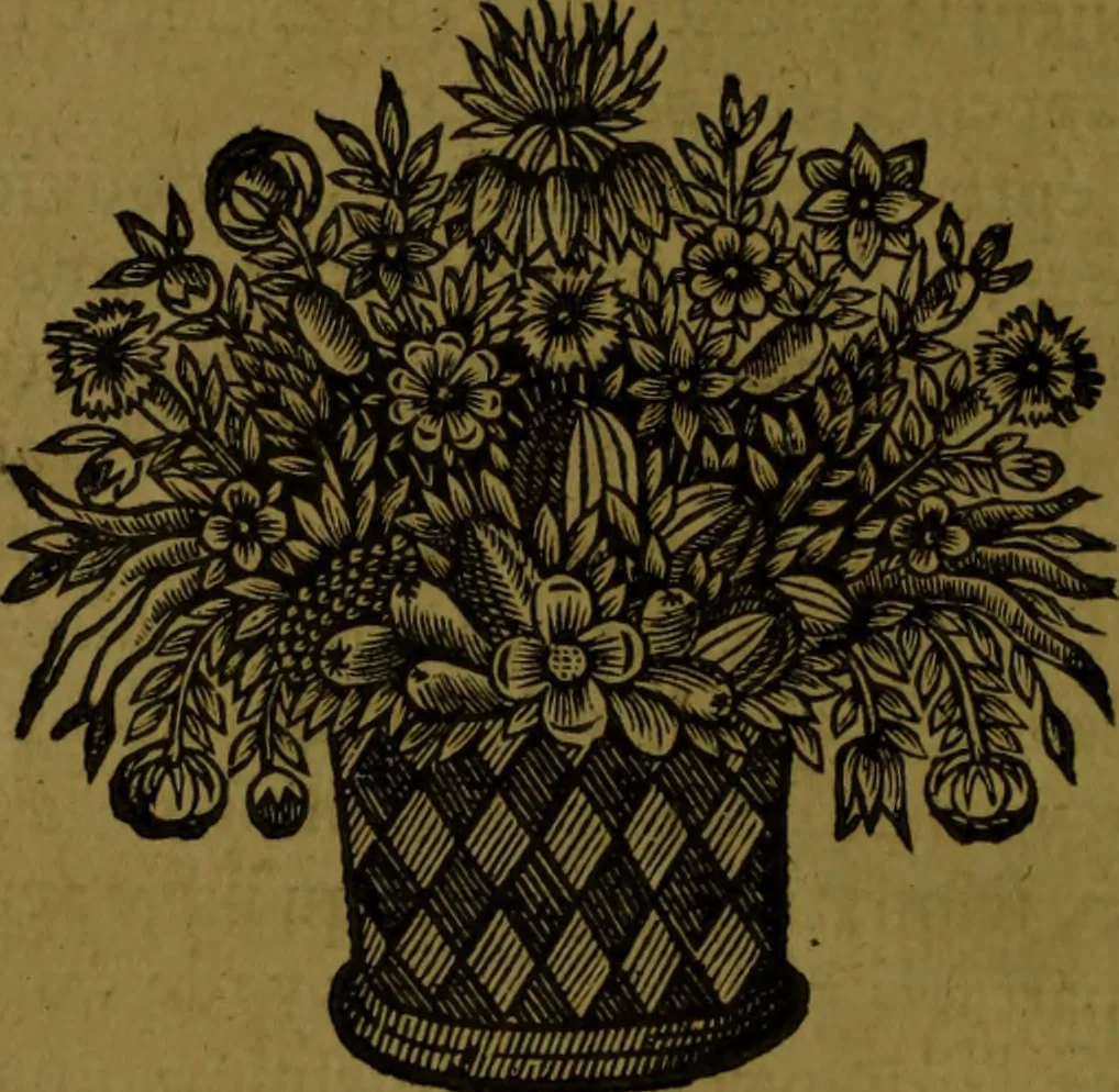 An illustration from Histoire de Barbarie, et de ses Corsaires. Des royavmes, et des villes d'Alger, de Tvnis, de Salé, [et] de Tripoly. Divisée en six livres. Ov il est traitté de levr govvernement, de leurs moeurs, de leurs cruautez, de leurs brigandages, de leurs sortileges, [et] de plusieurs autres particularitez remarquables. Ensemble des grandes miseres et des crvels tourmens qu'endurent les Chrestiens captifs parmy ces infideles, 1649, leaf 73