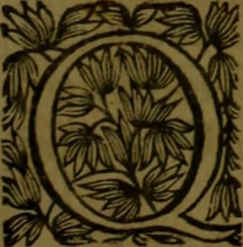 An illustration from Histoire de Barbarie, et de ses Corsaires. Des royavmes, et des villes d'Alger, de Tvnis, de Salé, [et] de Tripoly. Divisée en six livres. Ov il est traitté de levr govvernement, de leurs moeurs, de leurs cruautez, de leurs brigandages, de leurs sortileges, [et] de plusieurs autres particularitez remarquables. Ensemble des grandes miseres et des crvels tourmens qu'endurent les Chrestiens captifs parmy ces infideles, 1649, leaf 74