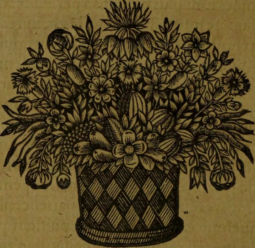 An illustration from Histoire de Barbarie, et de ses Corsaires. Des royavmes, et des villes d'Alger, de Tvnis, de Salé, [et] de Tripoly. Divisée en six livres. Ov il est traitté de levr govvernement, de leurs moeurs, de leurs cruautez, de leurs brigandages, de leurs sortileges, [et] de plusieurs autres particularitez remarquables. Ensemble des grandes miseres et des crvels tourmens qu'endurent les Chrestiens captifs parmy ces infideles, 1649, leaf 79
