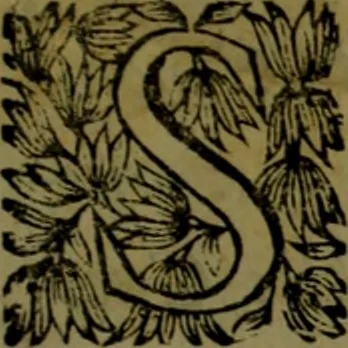 An illustration from Histoire de Barbarie, et de ses Corsaires. Des royavmes, et des villes d'Alger, de Tvnis, de Salé, [et] de Tripoly. Divisée en six livres. Ov il est traitté de levr govvernement, de leurs moeurs, de leurs cruautez, de leurs brigandages, de leurs sortileges, [et] de plusieurs autres particularitez remarquables. Ensemble des grandes miseres et des crvels tourmens qu'endurent les Chrestiens captifs parmy ces infideles, 1649, leaf 8
