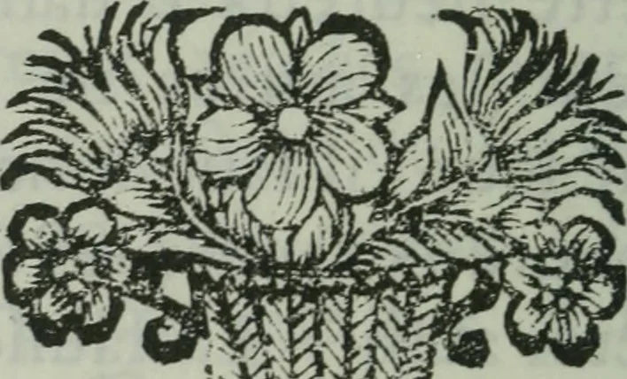An illustration from Histoire de Calijava, ou de l'isle des hommes raisonnables, 1700, leaf 91