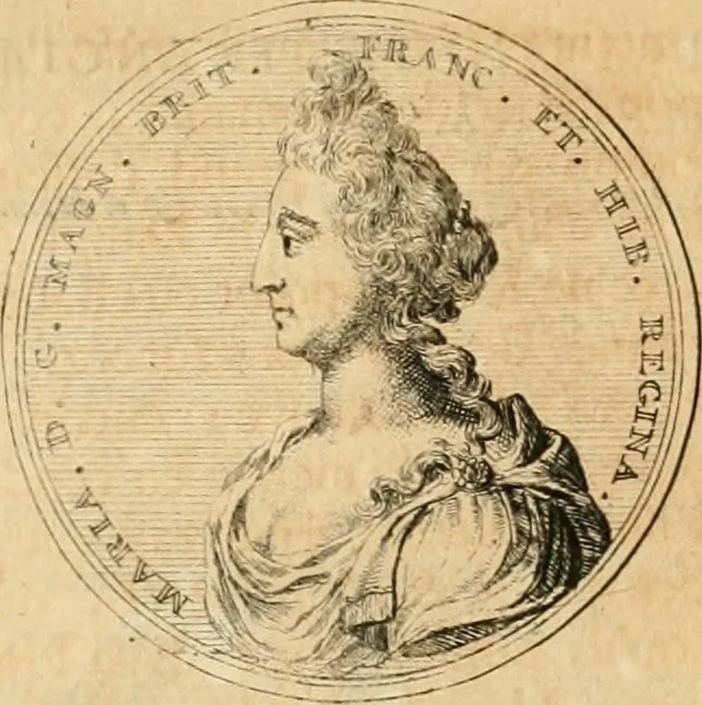 An illustration from Histoire de Guillaume III., roy d'Angleterre, d'Ecosse, de France, et d'Irlande, prince d'Orange, &c.; contenant ses actions les plus memorables, depuis sa naissance jusques à son elevation sur le trône, & ce qui s'est passé dupuis jusques à l'entiere reduction du royaume d'Irlande, 1692, leaf 143