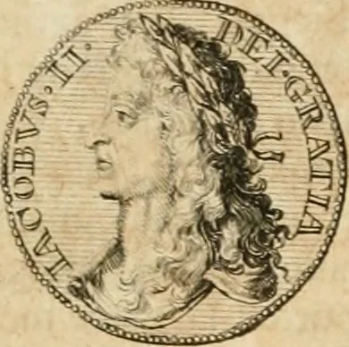 An illustration from Histoire de Guillaume III., roy d'Angleterre, d'Ecosse, de France, et d'Irlande, prince d'Orange, &c.; contenant ses actions les plus memorables, depuis sa naissance jusques à son elevation sur le trône, & ce qui s'est passé dupuis jusques à l'entiere reduction du royaume d'Irlande, 1692, leaf 162
