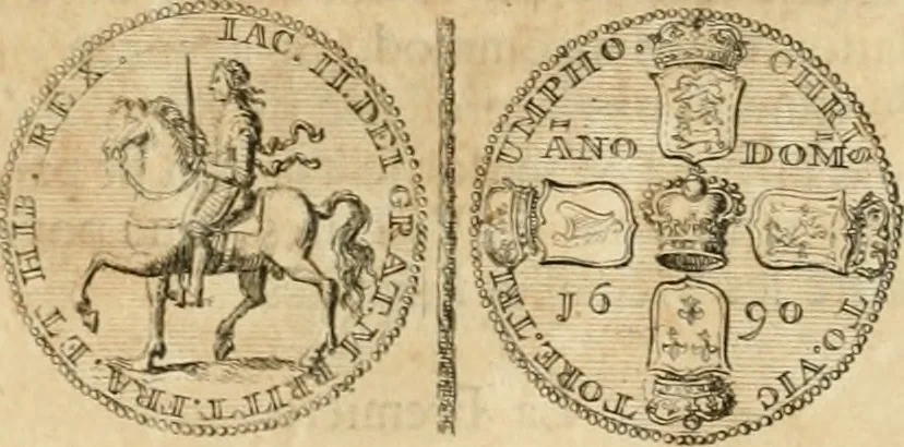An illustration from Histoire de Guillaume III., roy d'Angleterre, d'Ecosse, de France, et d'Irlande, prince d'Orange, &c.; contenant ses actions les plus memorables, depuis sa naissance jusques à son elevation sur le trône, & ce qui s'est passé dupuis jusques à l'entiere reduction du royaume d'Irlande, 1692, leaf 162