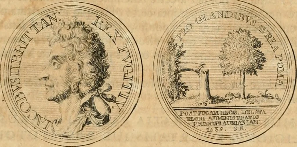 An illustration from Histoire de Guillaume III., roy d'Angleterre, d'Ecosse, de France, et d'Irlande, prince d'Orange, &c.; contenant ses actions les plus memorables, depuis sa naissance jusques à son elevation sur le trône, & ce qui s'est passé dupuis jusques à l'entiere reduction du royaume d'Irlande, 1692, leaf 98