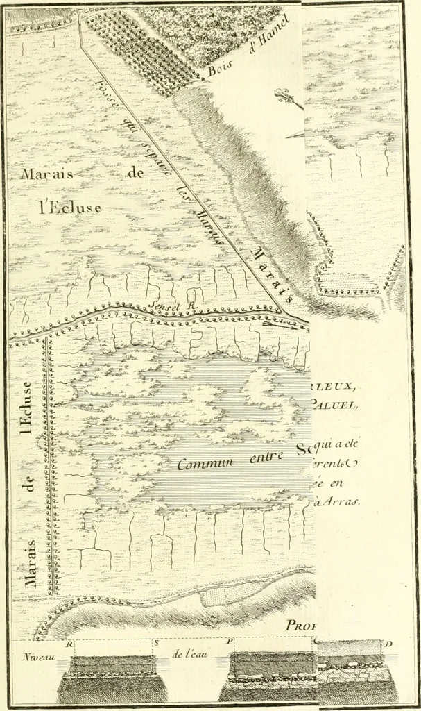 An illustration from Histoire de l'Académie royale des inscriptions et belles lettres, depuis son establissement jusqu'à présent : Avec les Mémoires de littérature tirez des registres de cette Académie depuis son renouvellement jusqu'en 1710, 1736, leaf 162