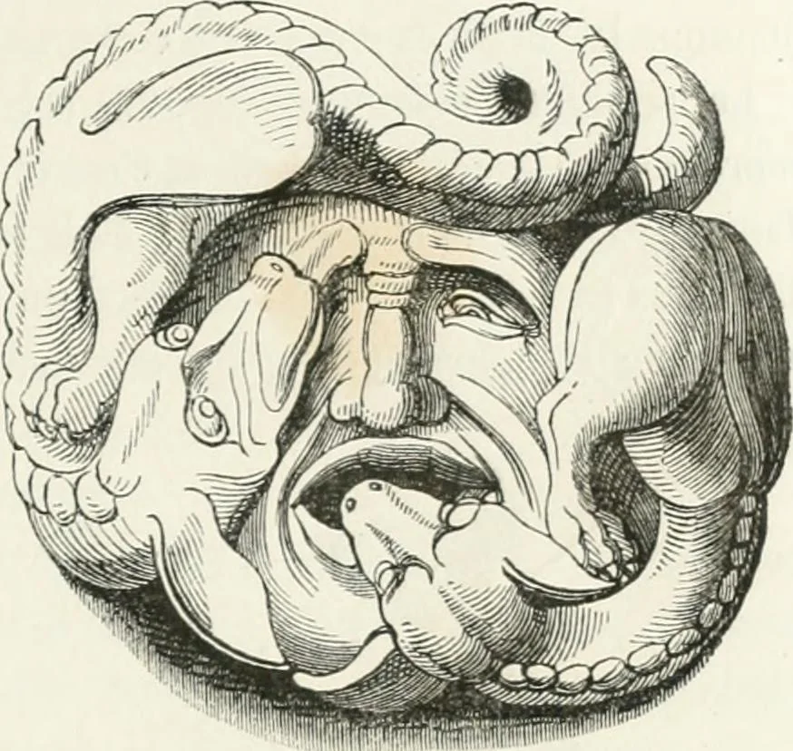 An illustration from Histoire de la caricature et du grotesque dans la littérature et dans l'art, 1875, leaf 171