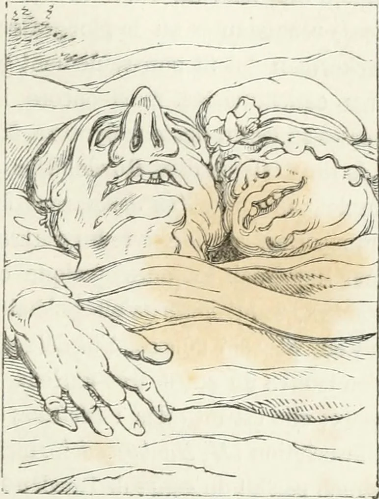 An illustration from Histoire de la caricature et du grotesque dans la littérature et dans l'art, 1875, leaf 481