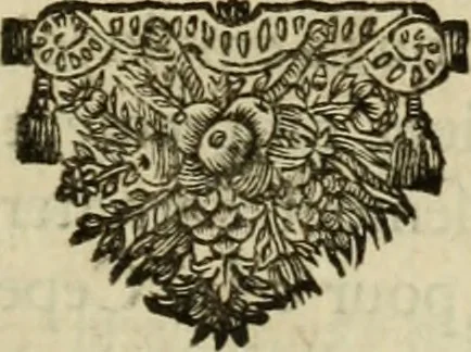 An illustration from Histoire de l'Académie royale des inscriptions et belles lettres, depuis son establissement jusqu'à présent : Avec les Mémoires de littérature tirez des registres de cette Académie depuis son renouvellement jusqu'en 1710, 1736, leaf 142