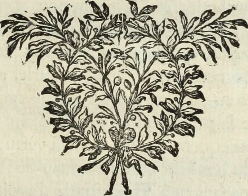 An illustration from Histoire de l'Académie royale des inscriptions et belles lettres, depuis son establissement jusqu'à présent : Avec les Mémoires de littérature tirez des registres de cette Académie depuis son renouvellement jusqu'en 1710, 1736, leaf 348