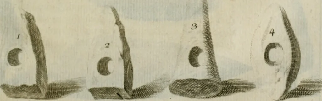An illustration from Histoire de l'Académie royale des inscriptions et belles lettres, depuis son establissement jusqu'à présent : Avec les Mémoires de littérature tirez des registres de cette Académie depuis son renouvellement jusqu'en 1710, 1736, leaf 186
