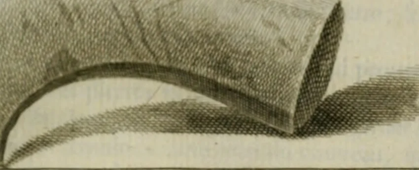 An illustration from Histoire de l'Académie royale des inscriptions et belles lettres, depuis son establissement jusqu'à présent : Avec les Mémoires de littérature tirez des registres de cette Académie depuis son renouvellement jusqu'en 1710, 1736, leaf 188