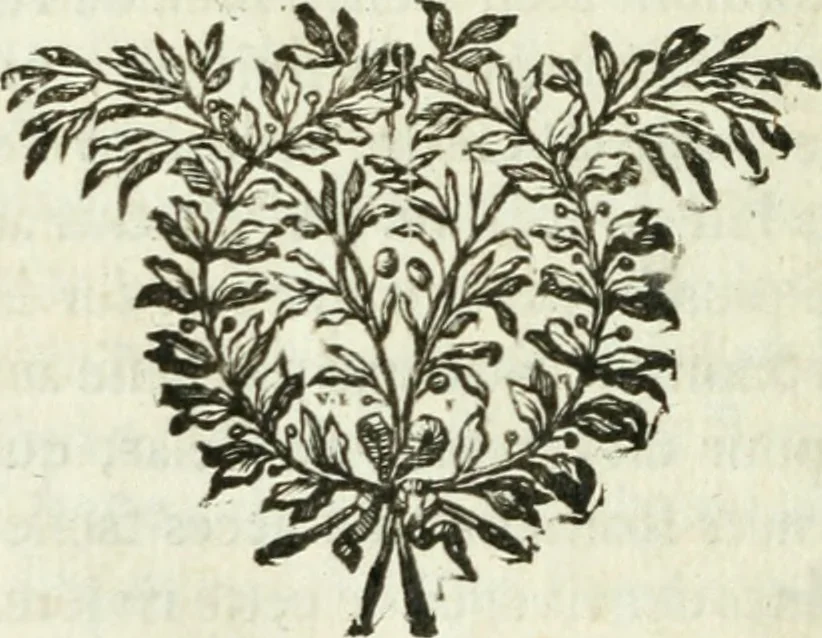 An illustration from Histoire de l'Académie royale des inscriptions et belles lettres, depuis son establissement jusqu'à présent : Avec les Mémoires de littérature tirez des registres de cette Académie depuis son renouvellement jusqu'en 1710, 1736, leaf 447