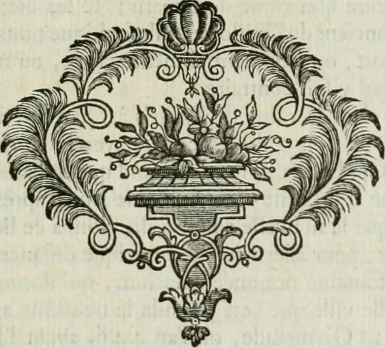 An illustration from Histoire de l'Académie royale des inscriptions et belles lettres, depuis son establissement jusqu'à présent : Avec les Mémoires de littérature tirez des registres de cette Académie depuis son renouvellement jusqu'en 1710, 1736, leaf 816
