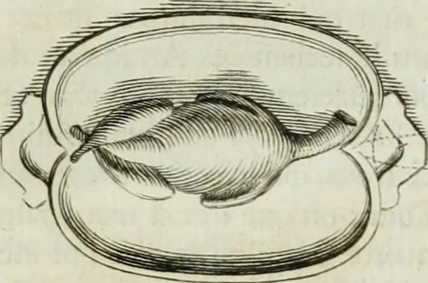 An illustration from Histoire de l'Académie royale des inscriptions et belles lettres, depuis son establissement jusqu'à présent : Avec les Mémoires de littérature tirez des registres de cette Académie depuis son renouvellement jusqu'en 1710, 1736, leaf 164