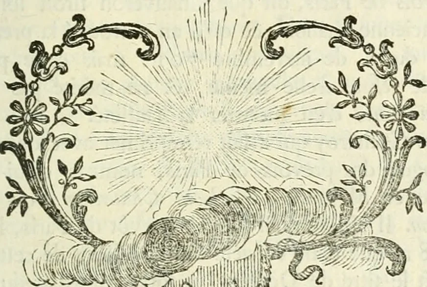 An illustration from Histoire de l'Académie royale des inscriptions et belles lettres, depuis son establissement jusqu'à présent : Avec les Mémoires de littérature tirez des registres de cette Académie depuis son renouvellement jusqu'en 1710, 1736, leaf 504