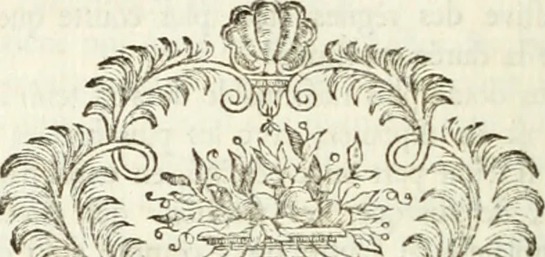 An illustration from Histoire de l'Académie royale des inscriptions et belles lettres, depuis son establissement jusqu'à présent : Avec les Mémoires de littérature tirez des registres de cette Académie depuis son renouvellement jusqu'en 1710, 1736, leaf 567