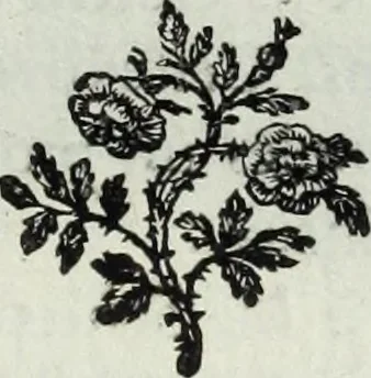 An illustration from Histoire de l'Académie royale des inscriptions et belles lettres, depuis son establissement jusqu'à présent : Avec les Mémoires de littérature tirez des registres de cette Académie depuis son renouvellement jusqu'en 1710, 1736, leaf 228