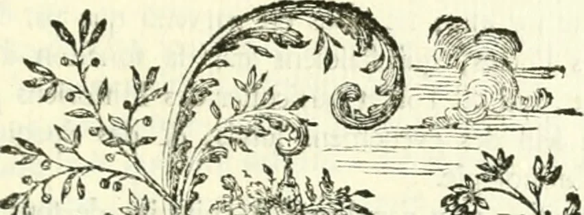 An illustration from Histoire de l'Académie royale des inscriptions et belles lettres, depuis son establissement jusqu'à présent : Avec les Mémoires de littérature tirez des registres de cette Académie depuis son renouvellement jusqu'en 1710, 1736, leaf 676