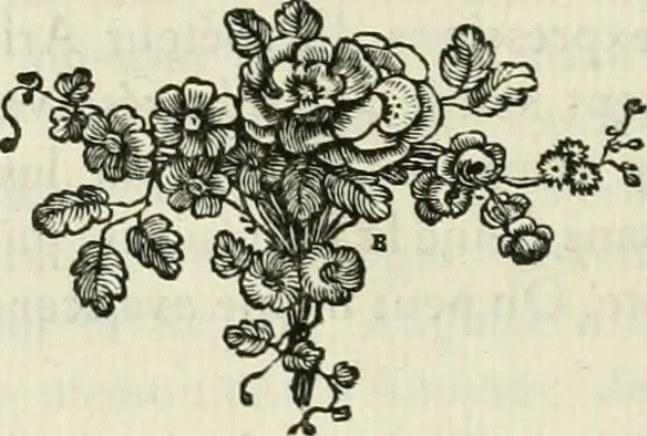 An illustration from Histoire de l'Académie royale des inscriptions et belles lettres, depuis son establissement jusqu'à présent : Avec les Mémoires de littérature tirez des registres de cette Académie depuis son renouvellement jusqu'en 1710, 1736, leaf 119