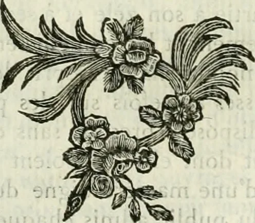 An illustration from Histoire de l'Académie royale des inscriptions et belles lettres, depuis son establissement jusqu'à présent : Avec les Mémoires de littérature tirez des registres de cette Académie depuis son renouvellement jusqu'en 1710, 1736, leaf 413