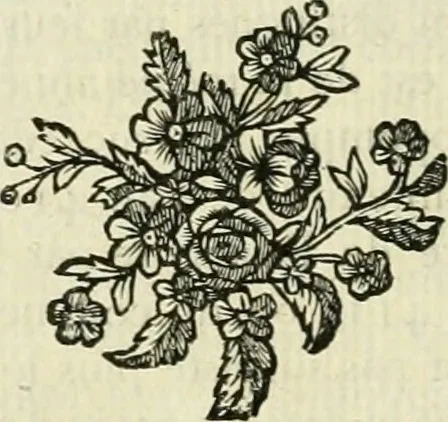 An illustration from Histoire de l'Académie royale des inscriptions et belles lettres, depuis son establissement jusqu'à présent : Avec les Mémoires de littérature tirez des registres de cette Académie depuis son renouvellement jusqu'en 1710, 1736, leaf 727