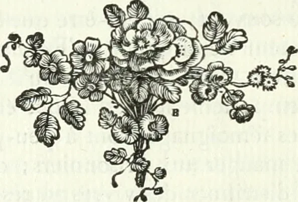 An illustration from Histoire de l'Académie royale des inscriptions et belles lettres, depuis son establissement jusqu'à présent : Avec les Mémoires de littérature tirez des registres de cette Académie depuis son renouvellement jusqu'en 1710, 1736, leaf 633