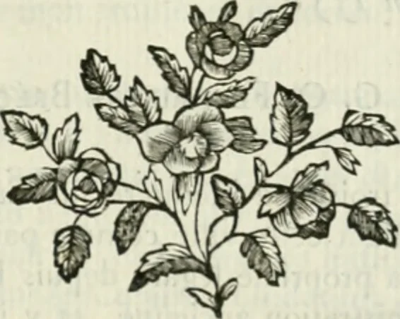 An illustration from Histoire de l'Académie royale des inscriptions et belles lettres, depuis son establissement jusqu'à présent : Avec les Mémoires de littérature tirez des registres de cette Académie depuis son renouvellement jusqu'en 1710, 1736, leaf 656