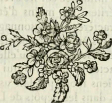 An illustration from Histoire de l'Académie royale des inscriptions et belles lettres, depuis son establissement jusqu'à présent : Avec les Mémoires de littérature tirez des registres de cette Académie depuis son renouvellement jusqu'en 1710, 1736, leaf 694