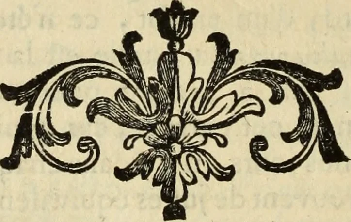 An illustration from Histoire de l'Académie royale des inscriptions et belles lettres, depuis son establissement jusqu'à présent : Avec les Mémoires de littérature tirez des registres de cette Académie depuis son renouvellement jusqu'en 1710, 1736, leaf 469